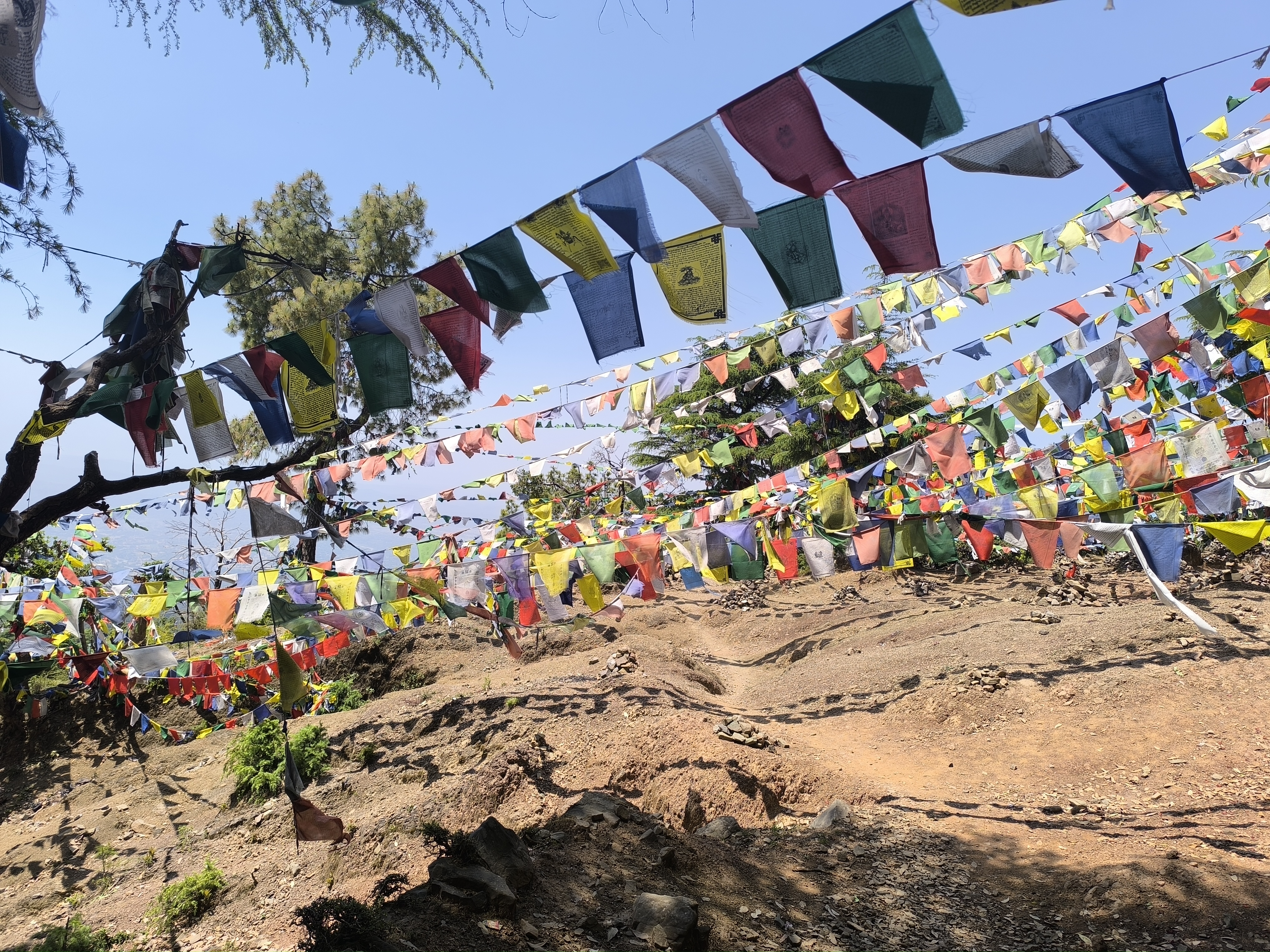Flags